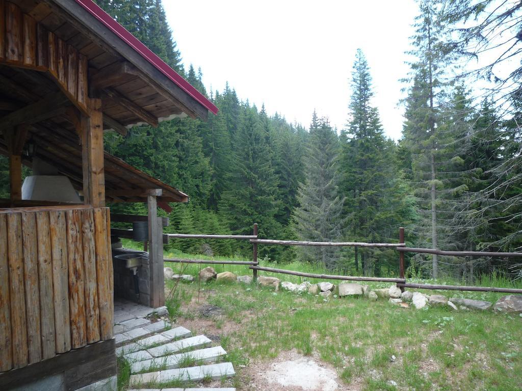 Ski Apartment In Castle Complex Pamporovo Phòng bức ảnh