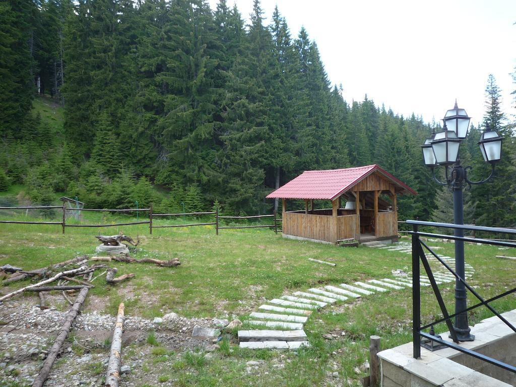 Ski Apartment In Castle Complex Pamporovo Phòng bức ảnh